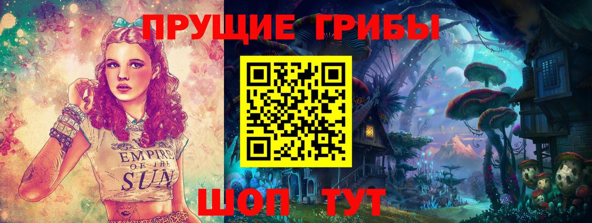 Галлюциногенные грибы Psilocybe  Вход с VPN  Славгород 